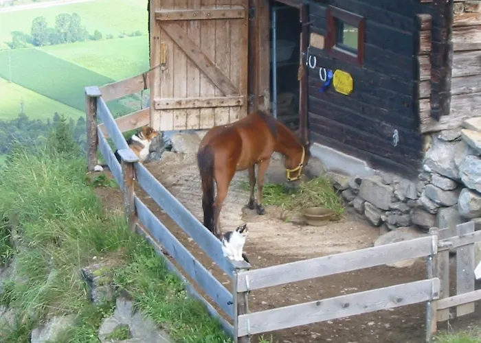 Apartamento Alpenblick