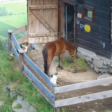 アパート Alpenblick